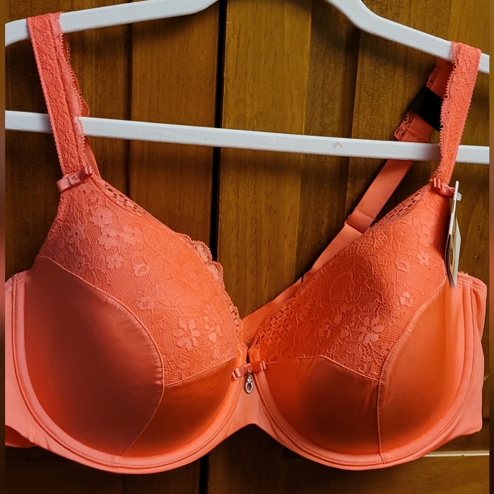 Curvy Couture Push Up Bra